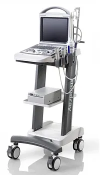 Mindray DP-30 Vet ветеринарный портативный УЗИ аппарат