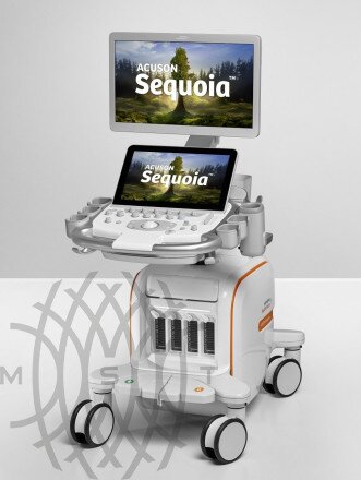 Siemens Sequoia аппарат УЗИ