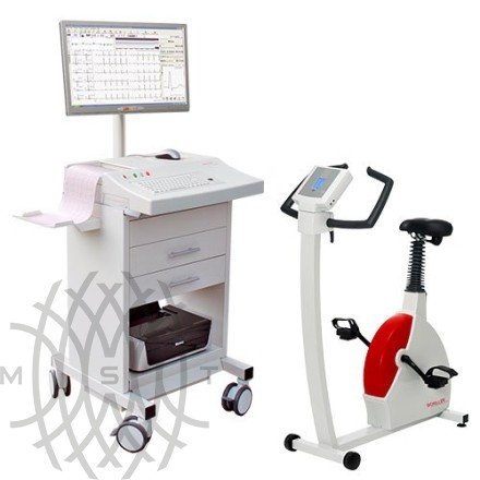 Стресс-система Schiller Cardiovit CS-200 ERG 910S